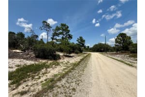 454 APPLE BLOSSOM COURT, LAKE PLACID, FL 33852 Sold 07/18/25