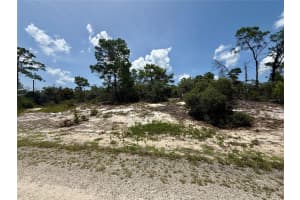 454 APPLE BLOSSOM COURT, LAKE PLACID, FL 33852 Sold 07/18/25