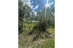 RENTSCHER AVE, NORTH PORT, FL 34291 Sold 12/05/25