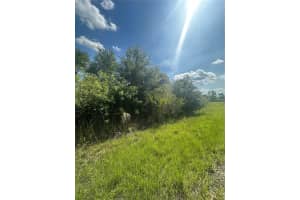 SNOWDRIFT TER, NORTH PORT, FL 34288 - MLS#MFRN6139427