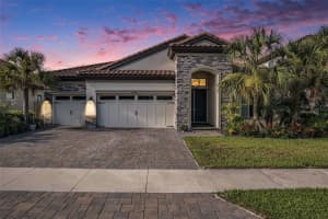 21698 Amelia Rose Way, LAND O LAKES
