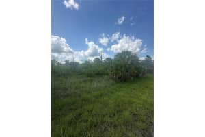 FRITZ AVE, NORTH PORT, FL 34288 - MLS#MFRN6139429