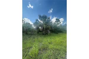 FRITZ AVE, NORTH PORT, FL 34288 - MLS#MFRN6139430