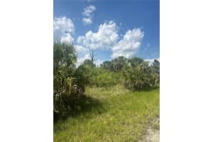 FRITZ AVE, NORTH PORT, FL 34288 - MLS#MFRN6139430
