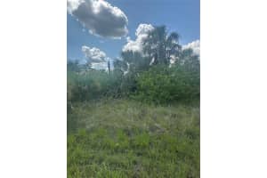 FRITZ AVE, NORTH PORT, FL 34288 - MLS#MFRN6139430
