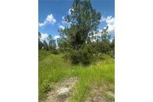 HAMPSHIRE CIR, NORTH PORT, FL 34288 - MLS#MFRN6139432