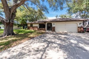 4227 BLOSSOM ROAD, VENICE, FL 34293 - MLS#MFRN6139448