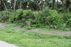 18106 SINATRA AVENUE, PORT CHARLOTTE, FL 33954 - MLS#MFRN6139516