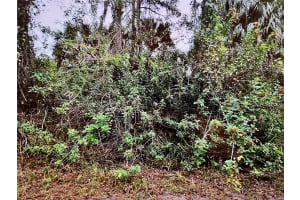 LOT 24 CAMPBELL STREET, NORTH PORT, FL 34288 - MLS#MFRN6139599