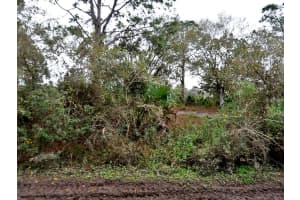 HENRIETTA AVE, NORTH PORT, FL 34291 - MLS#MFRN6139884