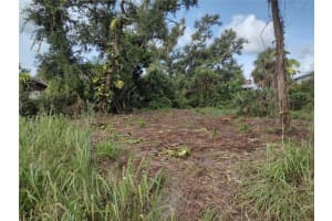 MLS# MFRN6140196, Venice, Florida 34293