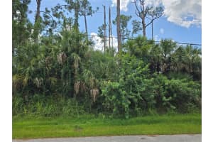 TRENTWOOD LN, NORTH PORT, FL 34286 - MLS#MFRN6140347