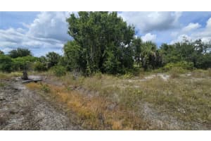 14153 FRUIT PORT CIRCLE, PORT CHARLOTTE, FL 33981 - MLS#MFRN6140623