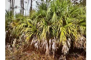 LOT 9 PENFIELD TERRACE, NORTH PORT, FL 34288 Sold 10/30/25