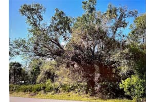 23422 ELMIRA BOULEVARD, PUNTA GORDA, FL 33980 - MLS#MFRN6140883