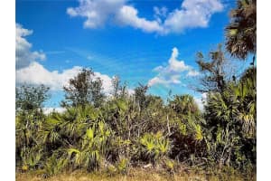 347 LAWLER STREET, PORT CHARLOTTE, FL 33954 - MLS#MFRN6140884