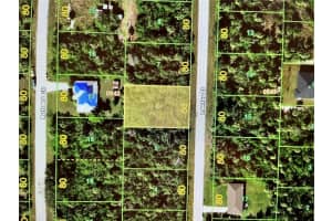 347 LAWLER STREET, PORT CHARLOTTE, FL 33954 - MLS#MFRN6140884