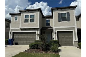 31941 BLUE PASSING LOOP, WESLEY CHAPEL, FL 33545 - MLS#MFRN6141204