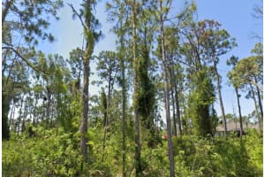 14209 NAYLOR AVENUE, PORT CHARLOTTE, FL 33981 - MLS#MFRN6141221