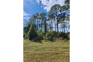 5598 DAVID BOULEVARD, PORT CHARLOTTE, FL 33981 - MLS#MFRN6141312