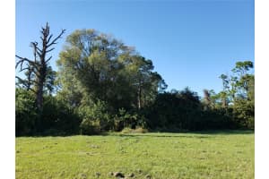 647 NAPLES, LEHIGH ACRES, FL 33974 - MLS#MFRN6141514