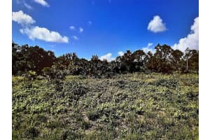 DURANGO AVE, NORTH PORT, FL 34287 - MLS#MFRN6141983