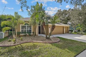 10115 CARAWAY SPICE AVENUE, RIVERVIEW, FL 33578 - MLS#MFRN6142004