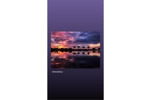 19267 KIRELLA STREET, VENICE, FL 34293 - MLS#MFRN6142019