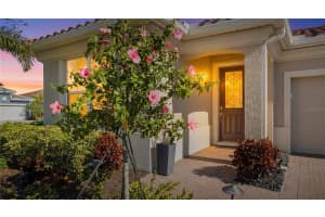 20414 MINUET PLACE, VENICE, FL 34293 - MLS#MFRN6142360