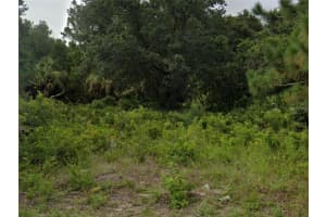 SKILE ROAD, NORTH PORT, FL 34287 - MLS#MFRN6142688