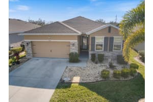 4123 MOSSY LIMB COURT, PALMETTO, FL 34221 - MLS#MFRN6142707