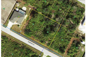 13396 RAYBURN LANE, PORT CHARLOTTE, FL 33981 - MLS#MFRN6142972