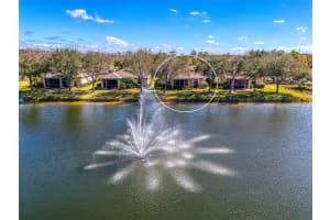 9113 COACHMAN DRIVE, VENICE, FL 34293 - MLS#MFRN6142973