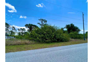 13388 RAYBURN LANE, PORT CHARLOTTE, FL 33981 - MLS#MFRN6142985