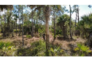 17455 BLY AVENUE, PORT CHARLOTTE, FL 33948 - MLS#MFRN6143115