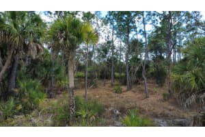 17455 BLY AVENUE, PORT CHARLOTTE, FL 33948 - MLS#MFRN6143115