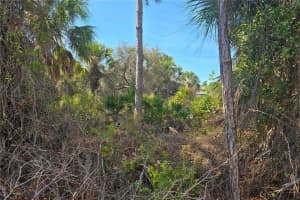 Lot 29 / Block 254 ALLEGHENY LANE, NORTH PORT, FL 34286 Sold 04/03/26