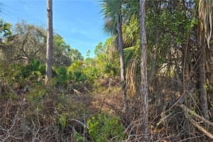 Lot 29 / Block 254 ALLEGHENY LANE, NORTH PORT, FL 34286 Sold 04/03/26