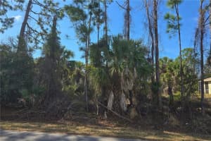 Lot 29 / Block 254 ALLEGHENY LANE, NORTH PORT, FL 34286 Sold 04/03/26