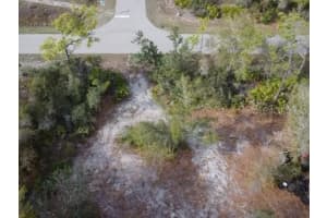 29181 DEFIANCE AVENUE, PUNTA GORDA, FL 33982 - MLS#MFRN6143601