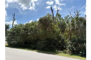 TUCSON RD, NORTH PORT, FL 34286 - MLS#MFRN6143684