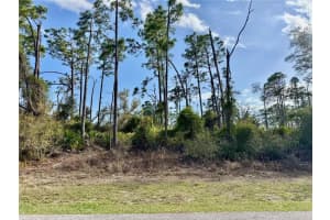 Lot 4 ABERNANT AVENUE, NORTH PORT, FL 34287 - MLS#MFRN6143707