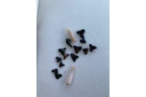 1537 Crest Dr, ENGLEWOOD