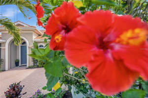 170 MONTELLUNA DRIVE, NORTH VENICE, FL 34275 - MLS#MFRN6144050