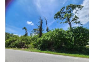 2513 WOODYGLEN STREET, PORT CHARLOTTE, FL 33948 - MLS#MFRN6144281