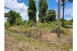 13128 FORESMAN BOULEVARD, PORT CHARLOTTE, FL 33981 - MLS#MFRN6144284