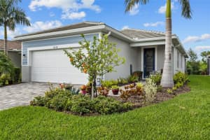 12458 SOMATIC COURT, VENICE, FL 34293 - MLS#MFRN6144638