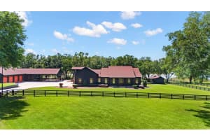 9751 QUIET LANE, WINTER GARDEN, FL 34787 - MLS#MFRN6144722