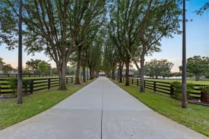 9751 QUIET LANE, WINTER GARDEN, FL 34787 - MLS#MFRN6144722