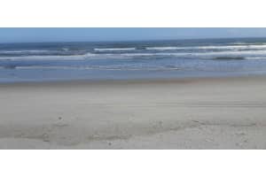 4849 Saxon Dr, New Smyrna Beach, FL 32169, Sold 06/25/21